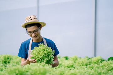happy male gardener working in Hydroponics greenhouse farm garden. Agro cultivation and small business concept
