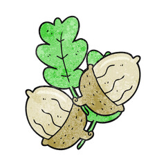 texture cartoon acorns
