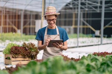 Agriculture uses production control tablets to monitor quality vegetables at greenhouse. Smart farmer using a technology for studying.