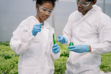 Geneticists, biologists, and scientists are studying the genetic structure of vegetables in a greenhouse.