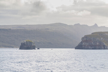 View from Campbell Island, New Zealand.