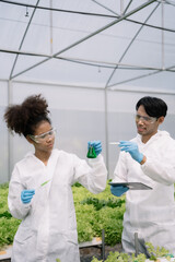 Geneticists, biologists, and scientists are studying the genetic structure of vegetables in a greenhouse.