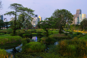 Benchakitti urban park in Bangkok - 584261391