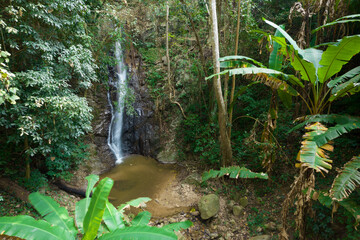Hidden wild jungle waterfall - 584261541