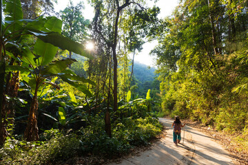 Woman trekking alone in Thailand - 584261559