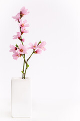 Spring flowers isolated on white, with clipping path. Minimalistic style pink spring flowers in white vertical background