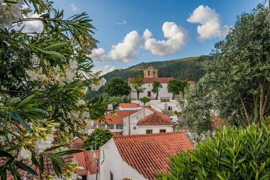Selective focus on flowers framing the houses and Templar fortress tower in the center of Dornes village, PORTUGAL