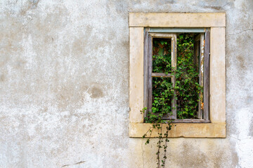 abandoned building exterior wall and window