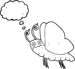 thought bubble cartoon funny butterfly