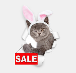 Winking kitten wearing easter rabbits ears shows signboard with labeled 