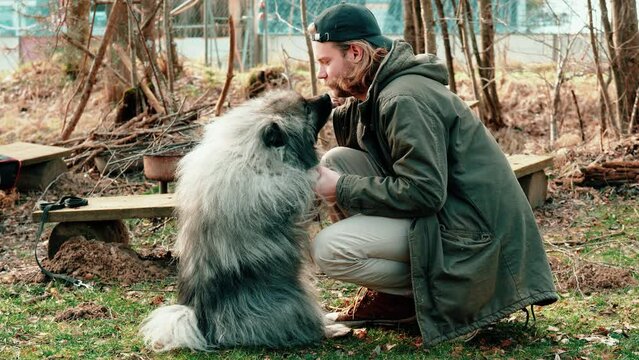 A little kiss for you. Two close friends hold hands and give each other a kiss. The gray fluffy wolf spitz shows his affection to his friend and he is visibly happy about it.