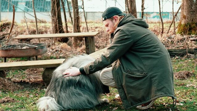 8 seconds of love. a young man with blond hair strokes his little gray friend. A fluffy wolf spitz lets himself be showered with love here. In the backround are autumnal trees and a bench visible.