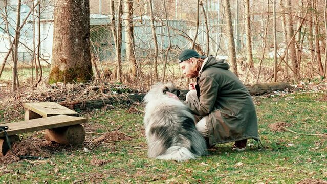 Sweet how these two friends pay attention to each other. A fluffy gray colored wolf spitz and a medium long haired blond man. The man strokes the little cutie. The dog gives him a lively look