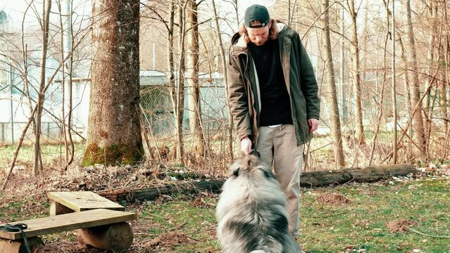 here's a little treat. the blond young man with a black cap gives his fluffy grey wolf dog a little reward after his performance. they are in a small autumnal forest.