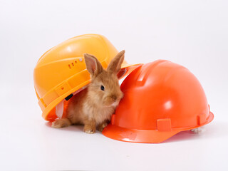 builder's day, symbol of the year easter bunny in a construction helmet on a white background - 584277387