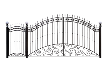 Forged gates and doors  with decor.