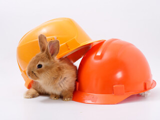 builder's day, symbol of the year easter bunny in a construction helmet on a white background - 584279718