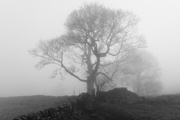 A  cold, dark foggy morning on the paths below Baslow Edge, Derbyshire