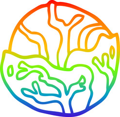 rainbow gradient line drawing cartoon cabbage