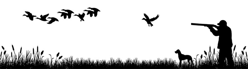 Wildlife Duck animals hunting hunt landscape panorama vector illustration - Black silhouette of hunter with rifle gun and dog in reed bog shoots at flying mallard ducks, isolated on white background - obrazy, fototapety, plakaty