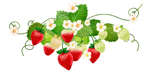 red sweet strawberry and green leaves