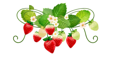 branch of berries and strawberries with ribbon