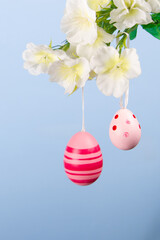 Delightful spring scene of pink Easter eggs suspended from a blooming branch set against a soothing blue background