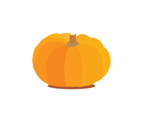 Yellow sweet pumpkins look beautiful