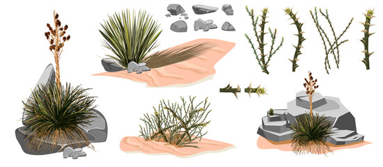 Fototapeta na wymiar Tumbleweed, cactuses and rocks of sand desert in Africa. Vector cartoon set of stones, rolling dry bush, tropical green tree and desert plants isolated on white background