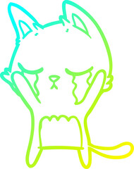 cold gradient line drawing crying cartoon cat