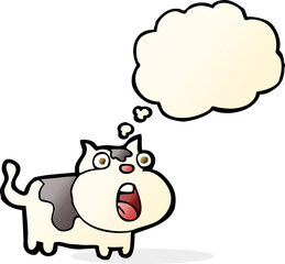 cartoon shocked cat with thought bubble