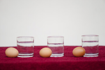 Science experiment , prepare  eggs and water in transparent glass. Concept, easy science test freshness of egg. Activity for learning , studying lesson  in classroom for kids. Education labarotary.   