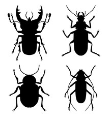 Set of black symmetrical silhouettes of beetles, top view, vector. isolated on white background. Stag beetle, barbel beetle, leaf beetle, ground beetles.