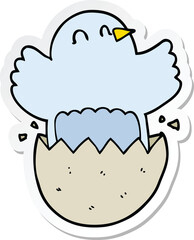 sticker of a cartoon hatching chicken
