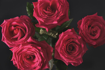 Beautiful bouquet of fresh Red roses on dark background. Mothers day. Floral card design with dark vintage effect.