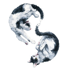 Two playing bicolor black and white cats make infinity symbol. Watercolor painting isolated on white background.