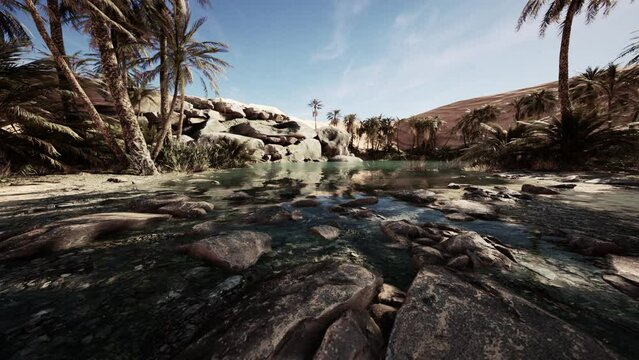 Oasis lake in desert surrounded high yellow sand dunes