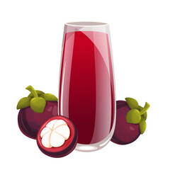 Fototapeta Mangosteen juice.Refreshing drink with mangosteen fruit.Vector illustration . obraz
