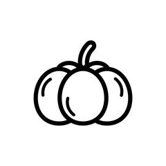pumpkin line icon