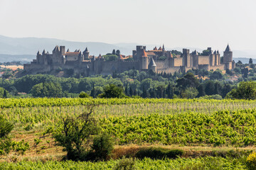 Fototapeta na wymiar Scenic view of Carcassone medieval city in the middle of vineyards in France against summer sky 