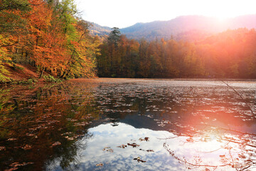 Obraz premium autumn landscape in the yedigöller seven lake in bolu turkey