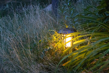 Lantern Surrounded by Tall Grass