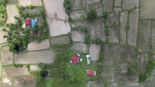 Drone footage above rice fields and farms in Kampot province, Cambodia 1-3