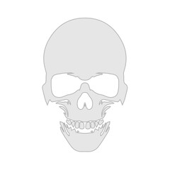 Anatomically correct human skull. Death skull or human skull  for games and websites