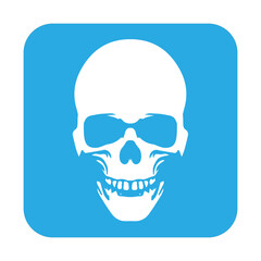 Anatomically correct human skull. Death skull or human skull  for games and websites
