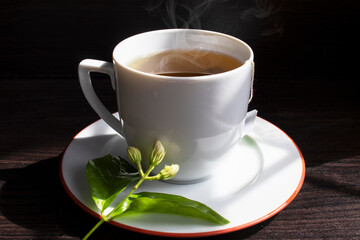 Jasmine tea. Cup of hot herbal tea with jasmine fresh flowers on a black table.
