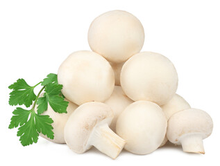 Mushrooms isolated on the white background