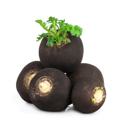 Black radishes isolated on a white background