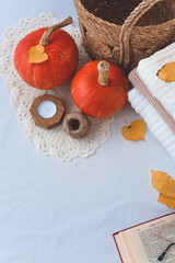 Autumn composition with pumpkins, knitted sweaters and book on white background