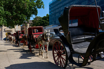 Fototapeta premium Horse-drawn carriage ride: A charming and authentic way to explore Havana